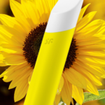 BLOG – 2025-02-10T161543.584