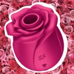 Stimulateur de clitoris rose sans contact Pro 2 Classic Blossom